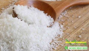 Unveiling the Best Desiccated Coconut Factory in Indonesia